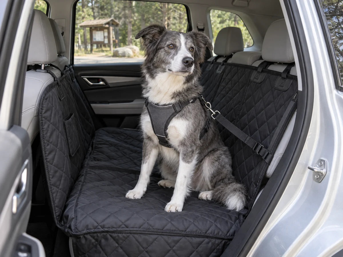 Dog sitting on a quilted rear seat cover in a parked car